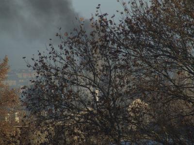 Прикрепленное изображение: 002.jpg